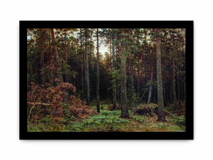 Pine Forest 1885