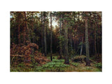 Pine Forest 1885 artwork preview