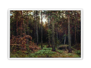 Pine Forest 1885