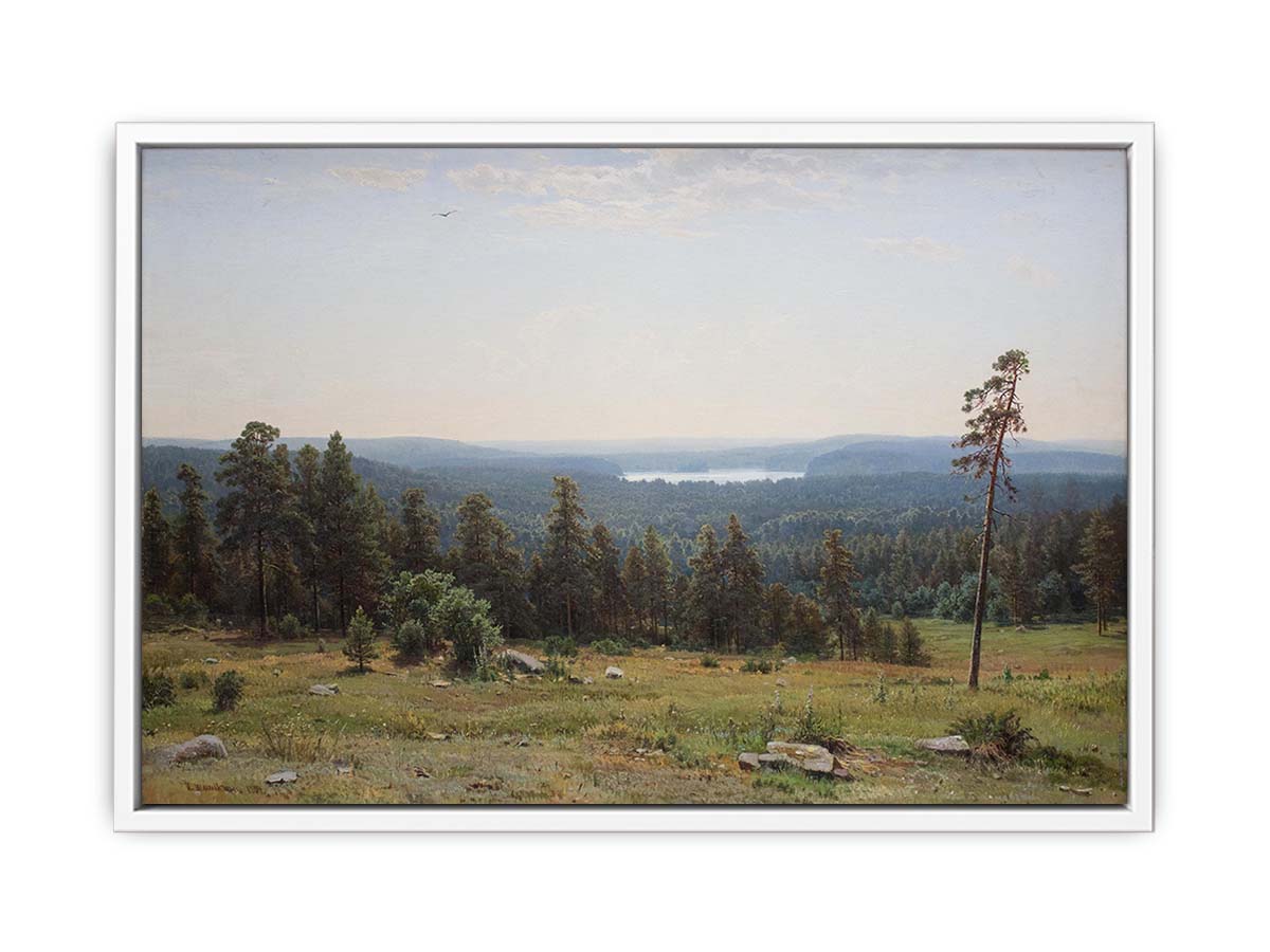 The forest distant views
