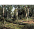 Brook in a Birch Forest