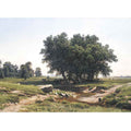 Oaks