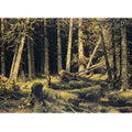 Wind-Fallen Trees