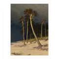 Sandy Coastline
