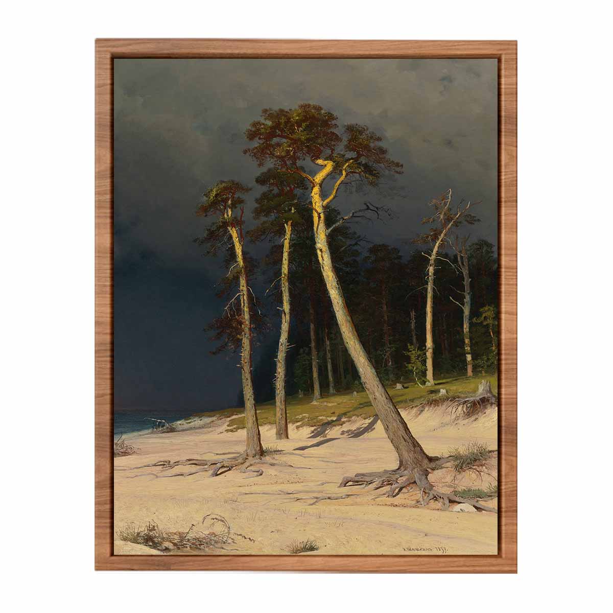 Sandy Coastline