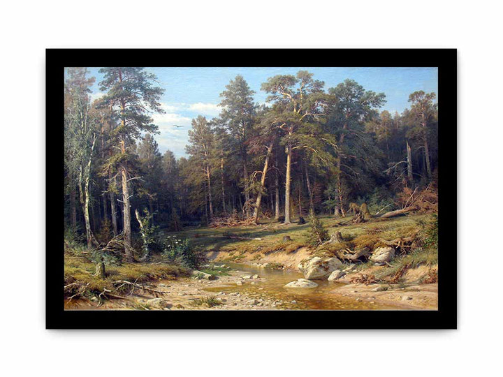 A Pine Forest. Mast-Timber forest in Viatka Province