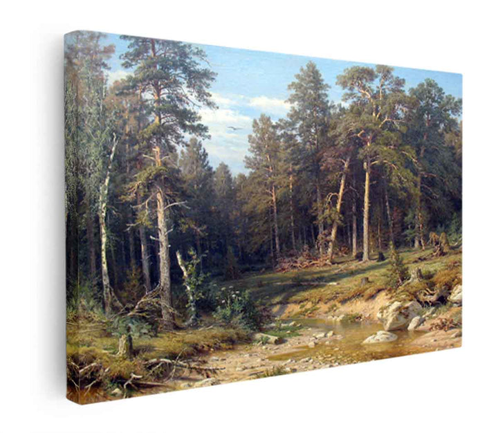 A Pine Forest. Mast-Timber forest in Viatka Province