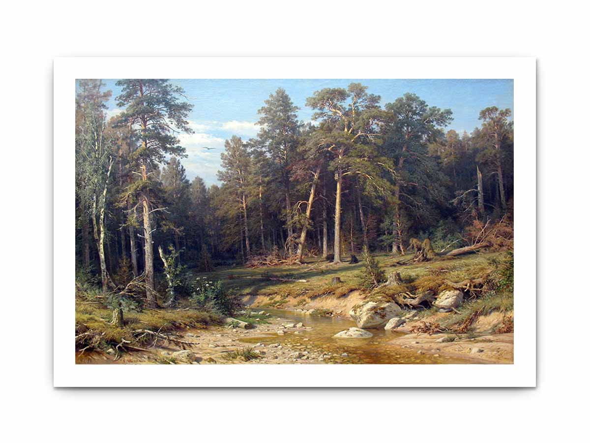 A Pine Forest. Mast-Timber forest in Viatka Province