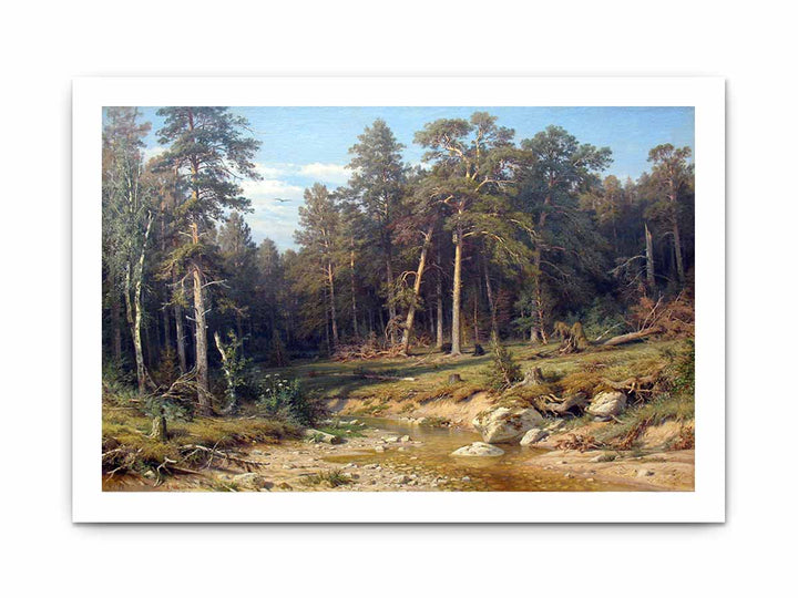 A Pine Forest. Mast-Timber forest in Viatka Province