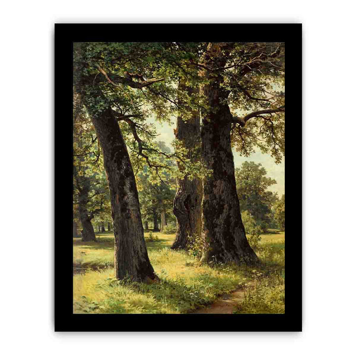 Oaks