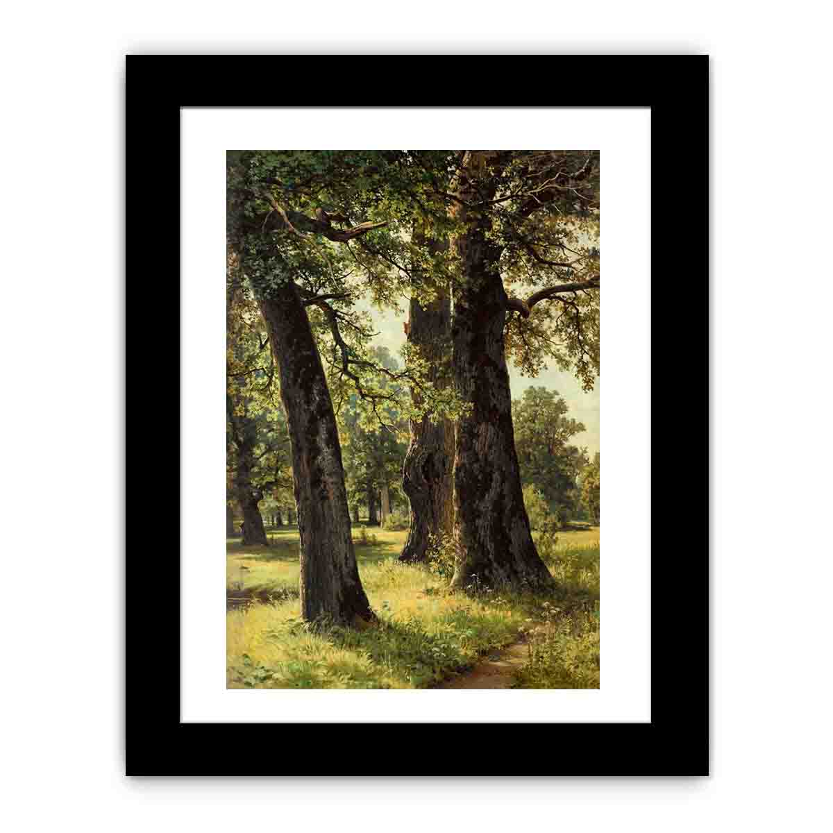 Oaks