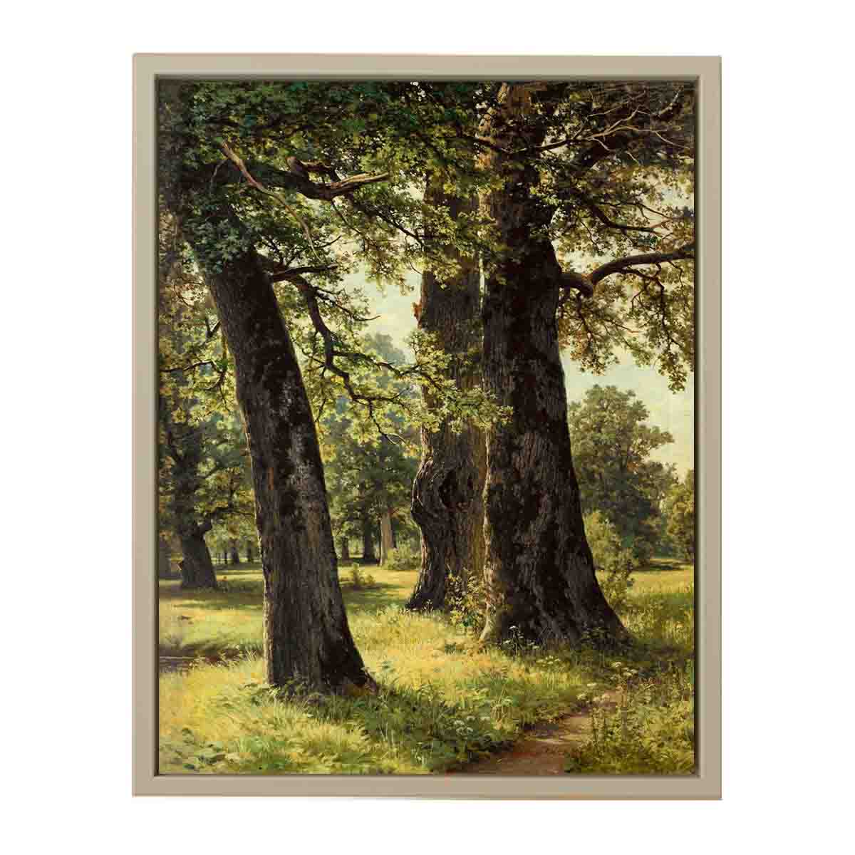 Oaks