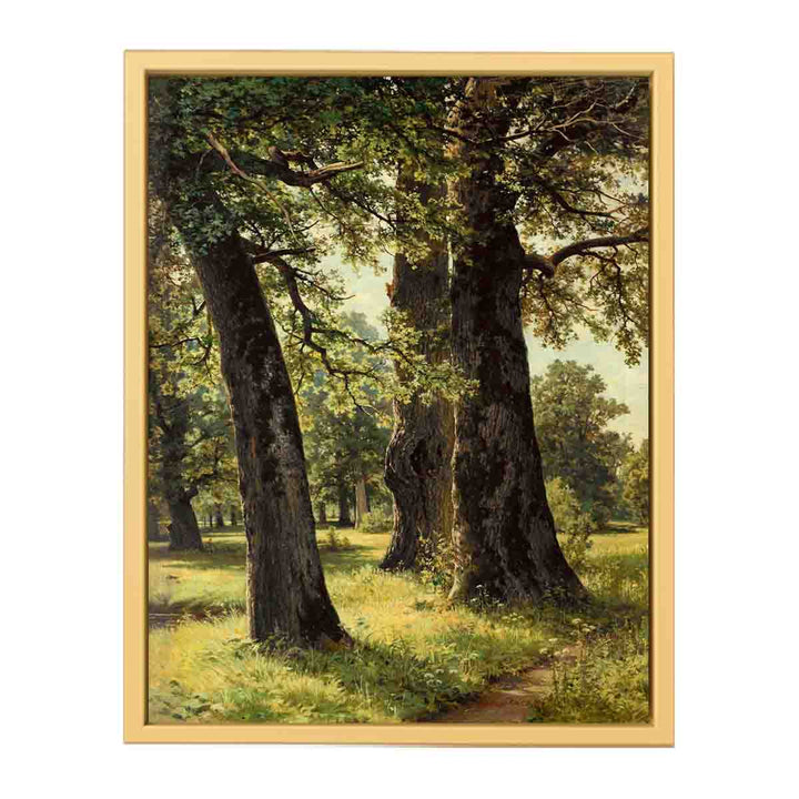 Oaks