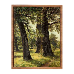 Oaks