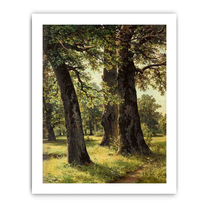 Oaks