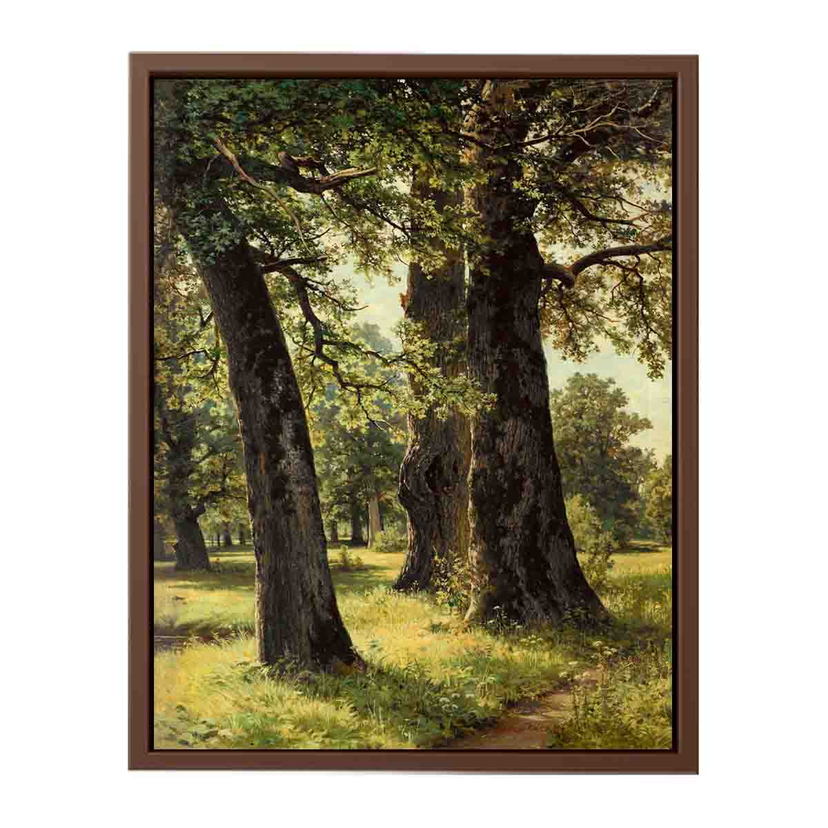 Oaks