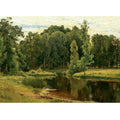 Pond in the old park