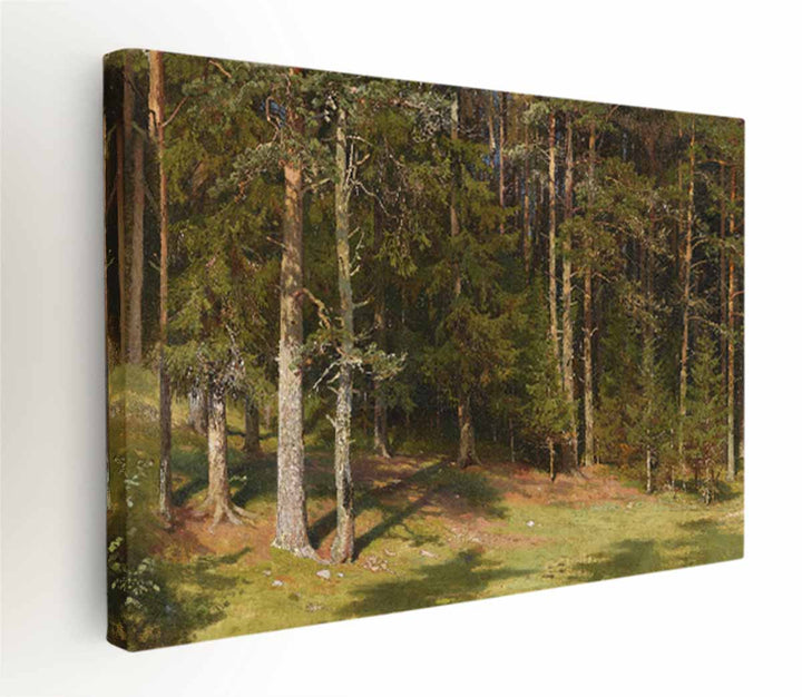Forest glade