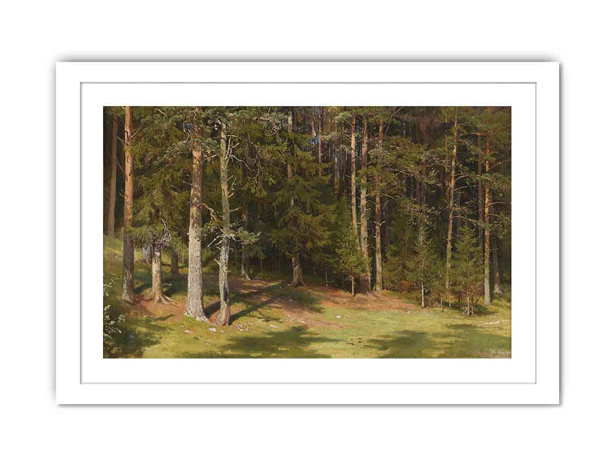 Forest glade