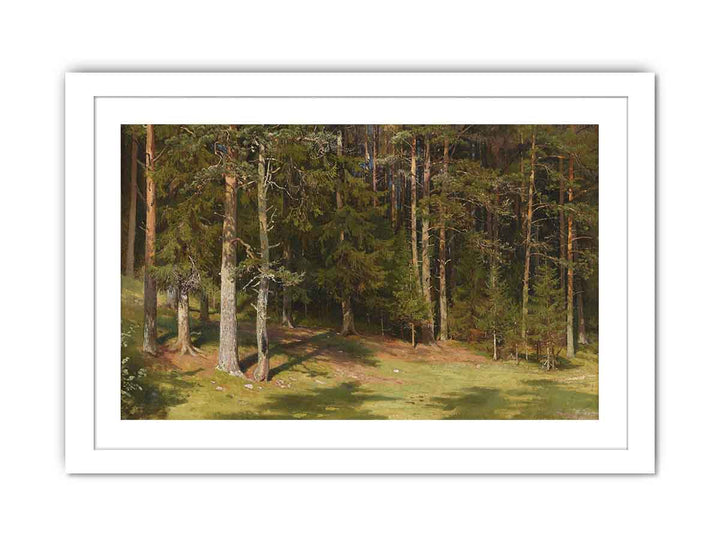 Forest glade