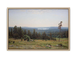 The forest distant views