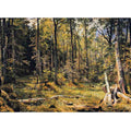 Mixed Forest Shmetsk Near Narva 1888