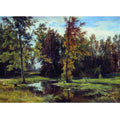 Birch forest