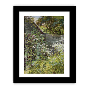 Corner Overgrown Garden. Aegopodium-grass