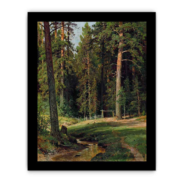 The Edge of the Forest