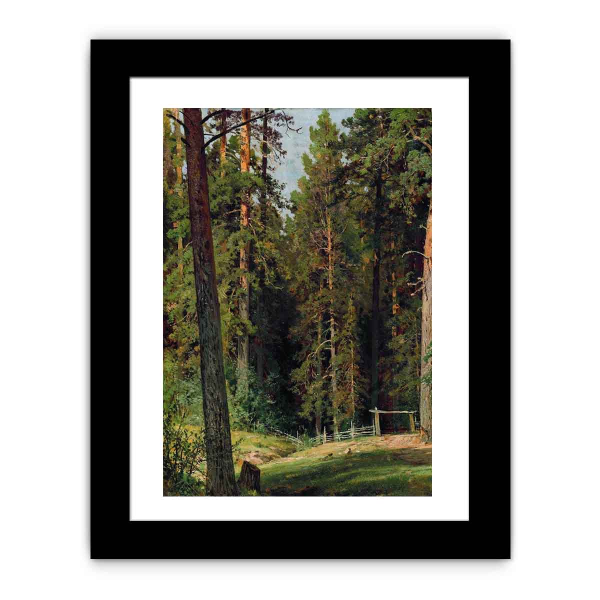 The Edge of the Forest