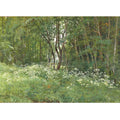 Flowers on the Edge of the Forest