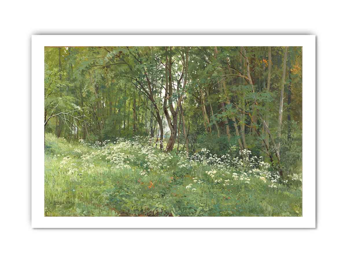 Flowers on the Edge of the Forest