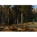 Ship Grove