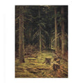 Coniferous forest