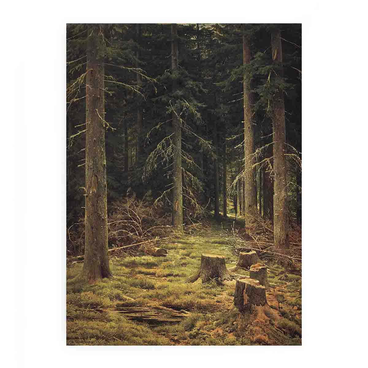 Coniferous forest