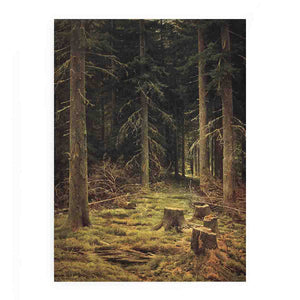 Coniferous forest