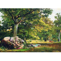 Sunny day in the forest. Oaks