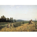 Polesie Landscape