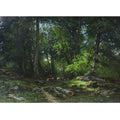 In the forest