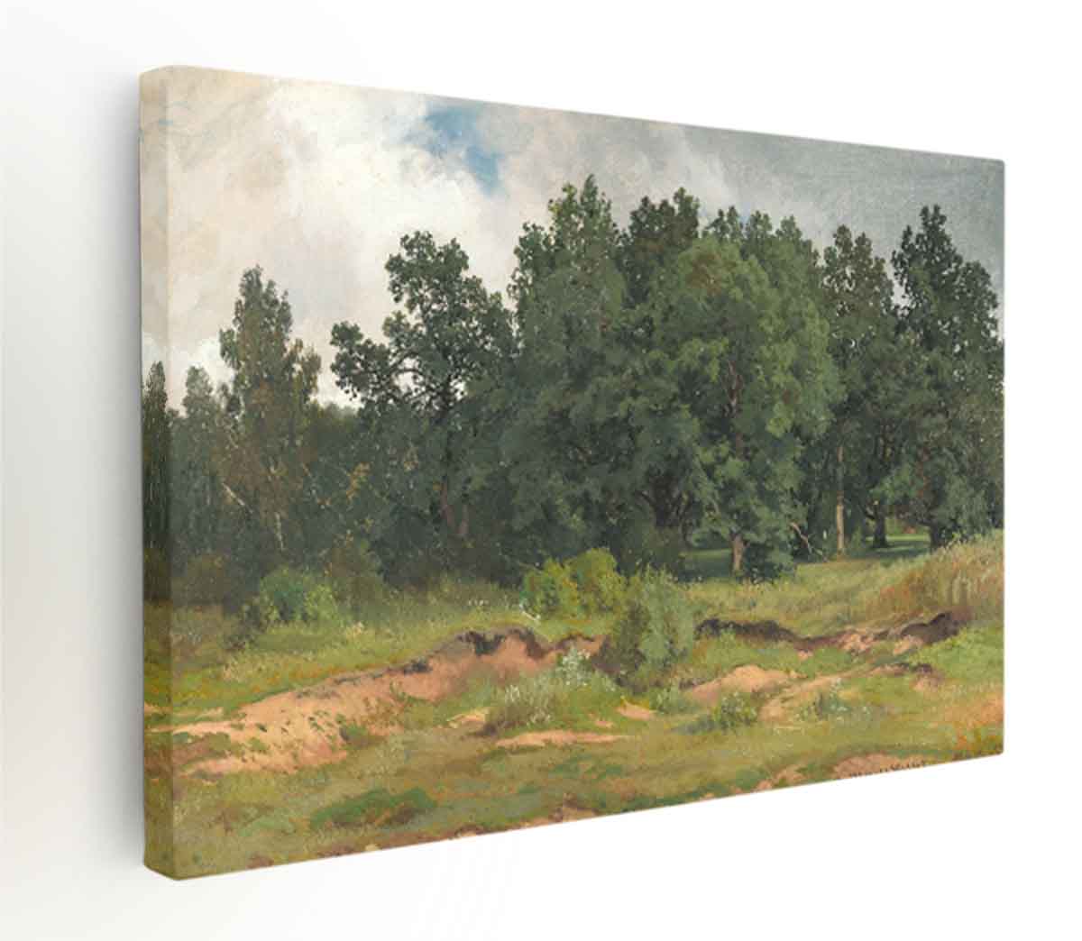 Oak Wood in a Gray Day