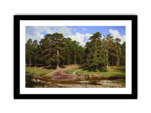 Pine Forest