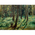 Ferns