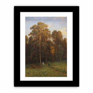 At the edge of a pine forest