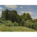 Glade (Forest Glade)