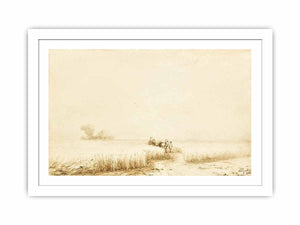 Passage Through The Cornfields