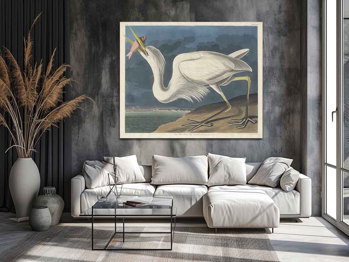 Great White Heron (Plate Cclxxxi)