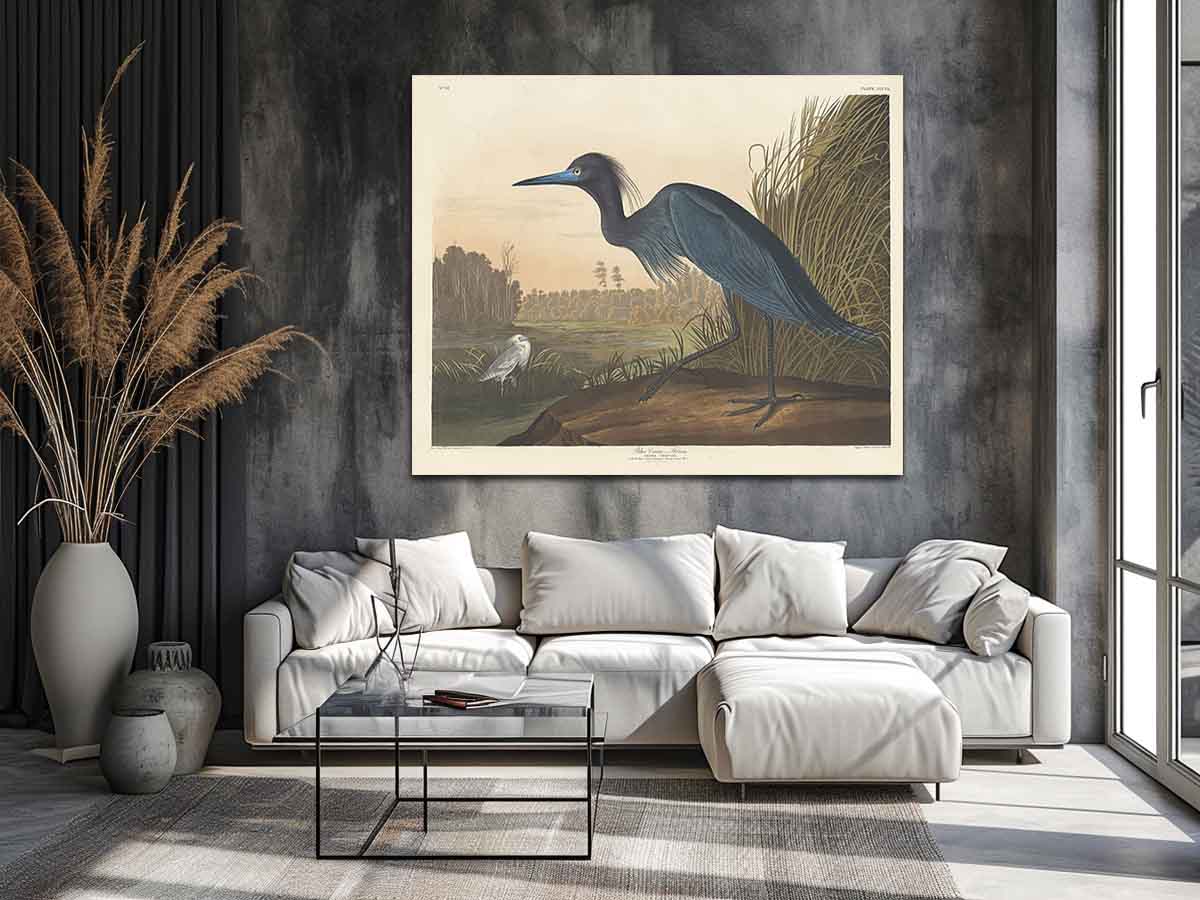 Blue Crane Or Heron (Plate 307)