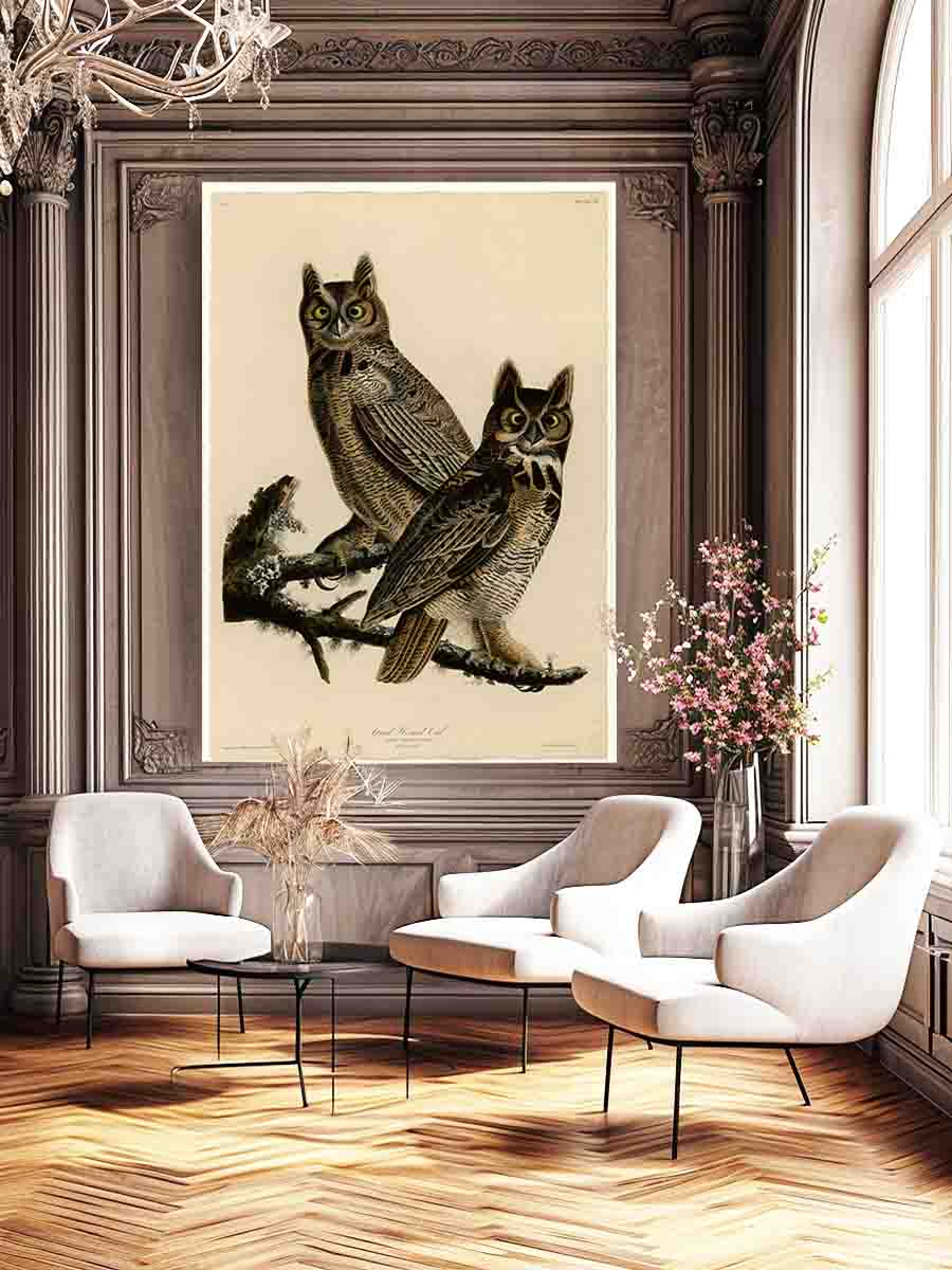Great Horned Owl (Plate 61)
