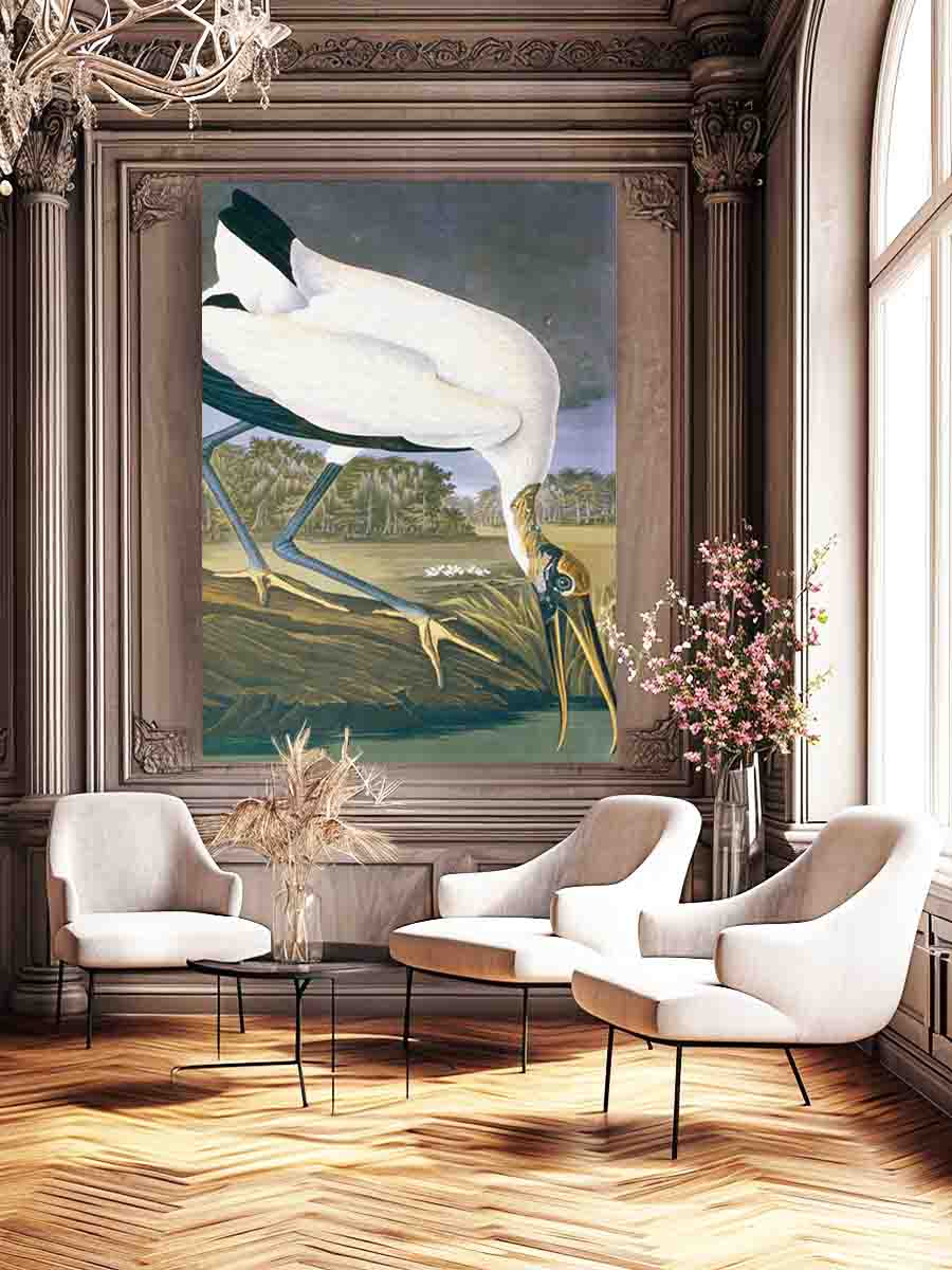 American Stork