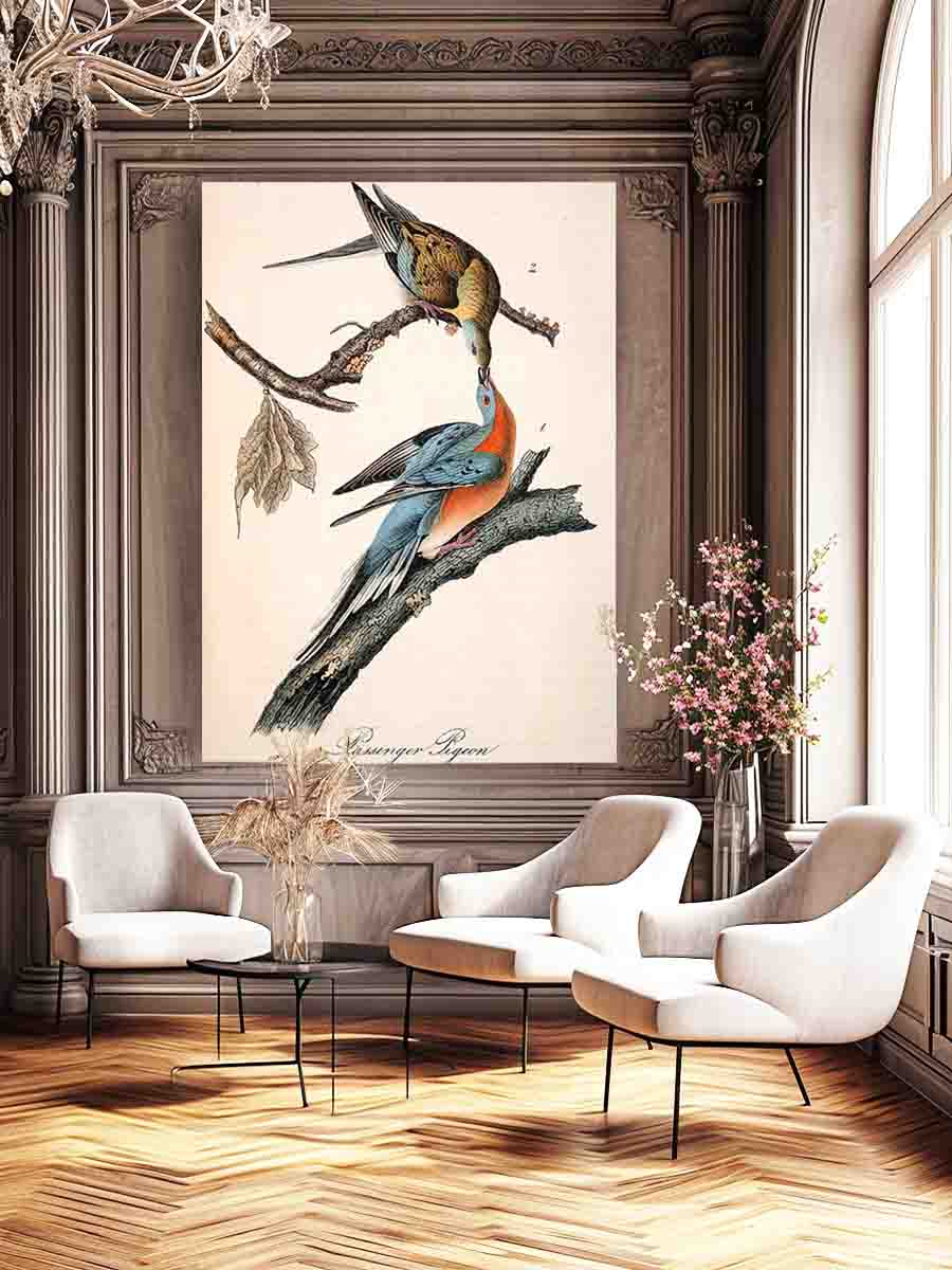 Passenger Pigeon, from 'Birds of America'